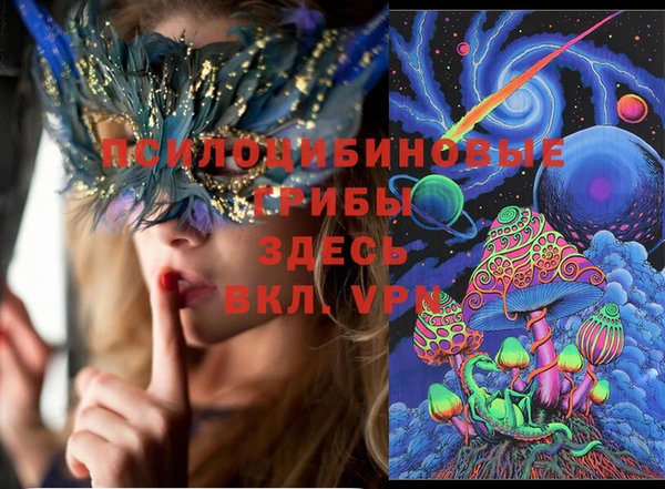 винт Бронницы