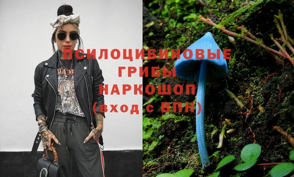 МДПВ Бугульма