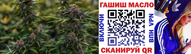 где купить наркоту  МЕГА как зайти  Дистиллят ТГК THC oil  Минусинск 